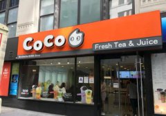 2020年coco奶茶加盟费用、利润及条件（