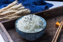  中式米饭快餐行业发展趋势研究