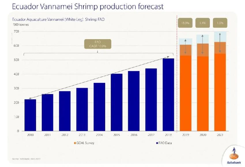  2020全球对虾总产量预计锐减10%！厄瓜多尔首次停止增长，印度暴跌26%！