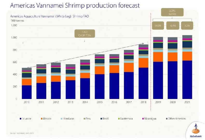  2020全球对虾总产量预计锐减10%！厄瓜多尔首次停止增长，印度暴跌26%！