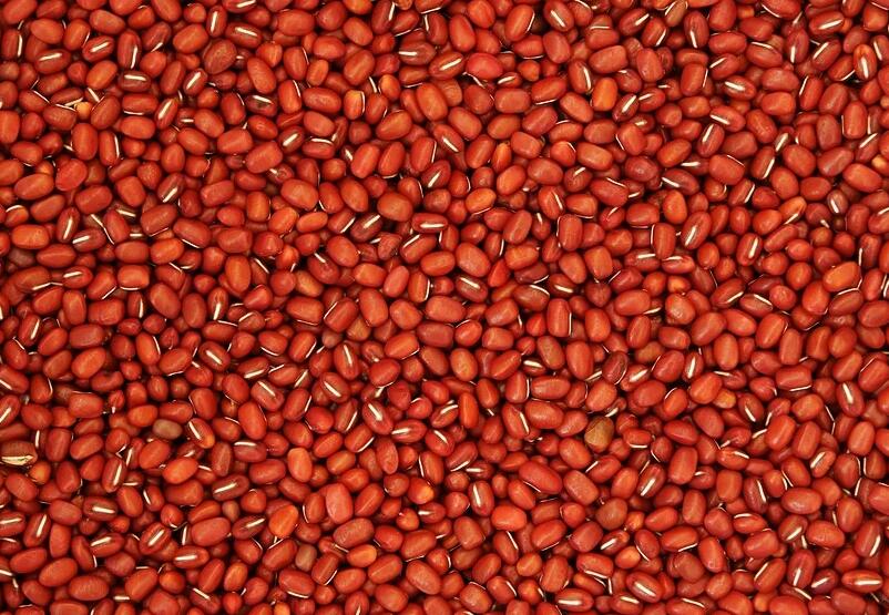 红豆怎么煮成蜜豆