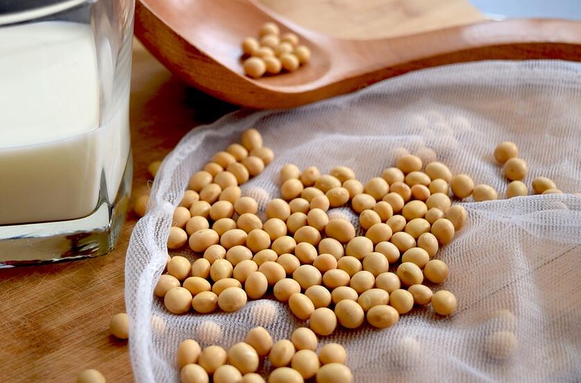 白醋泡黄豆有什么功效和作用