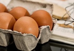 鸡蛋怎么看有没有受精