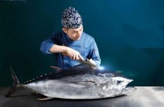  邀您共赏丨2021首届“广东远洋渔业杯”金枪鱼烹饪厨