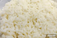 米饭必须 煮多长时间