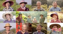 国际茶日：中国企业发起“生态茶山众筹计划”